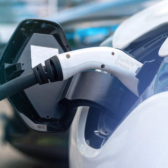 Switch Green cargadores